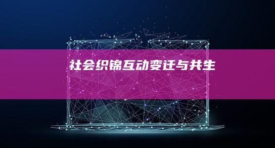 社会织锦：互动、变迁与共生